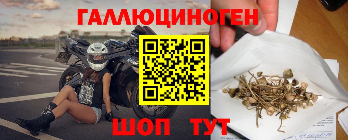 Галлюциногенные грибы мухоморы  Псилоцибиновые грибы GOLDEN TEACHER  Березники  как найти наркотики  Вход с VPN 