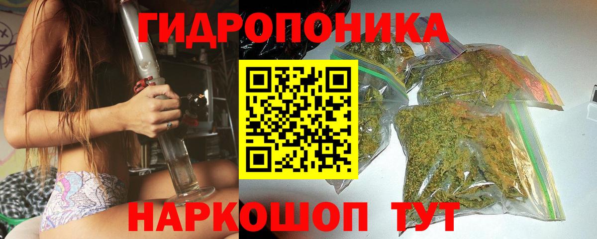 Бошки Шишки план  Вход с VPN  МАРИХУАНА White Widow  Березники  Бошки марихуана OG Kush 